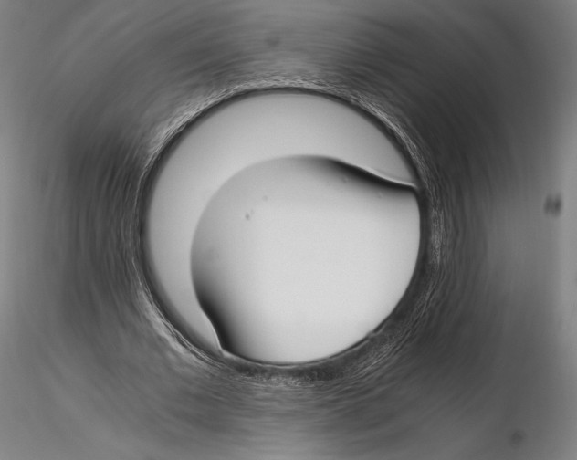 X0000115480677200912040953