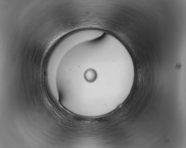 X0000115480680200912040953