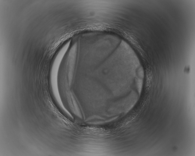 X0000115480681200912040953