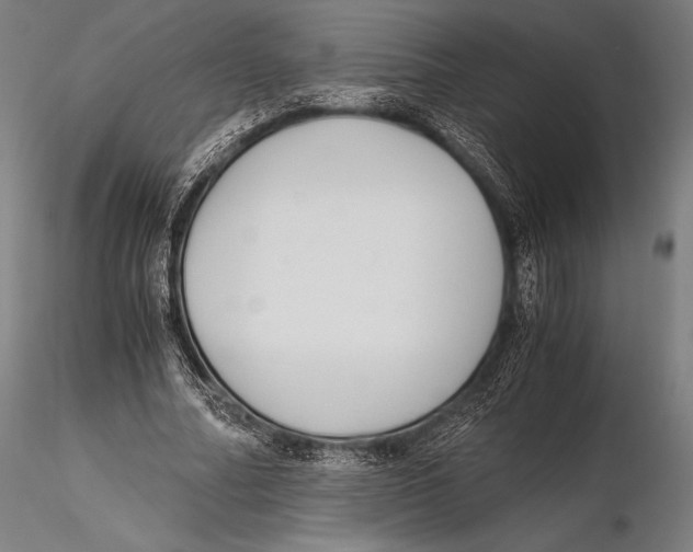 X0000115480682200912040953