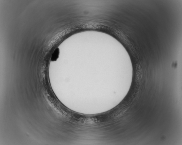 X0000115480683200912040953
