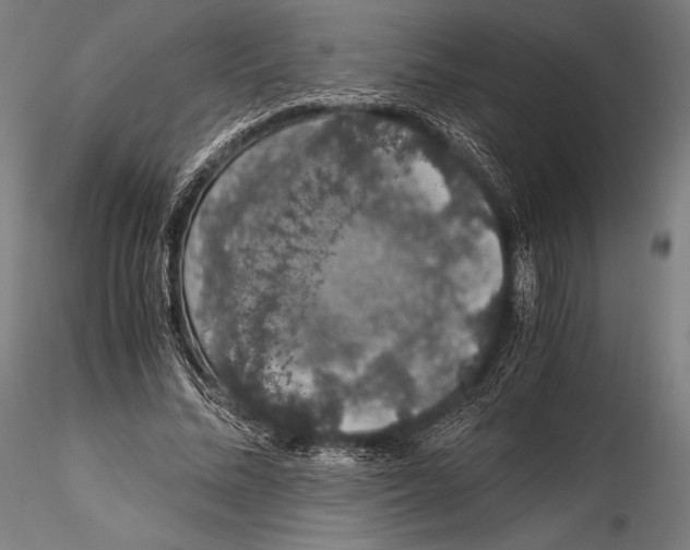 X0000115480684200912040953