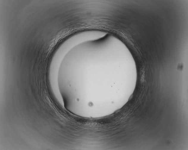 X0000115480685200912040953