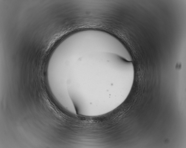 X0000115480688200912040953