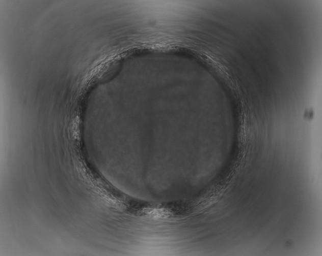 X0000115480689200912040953