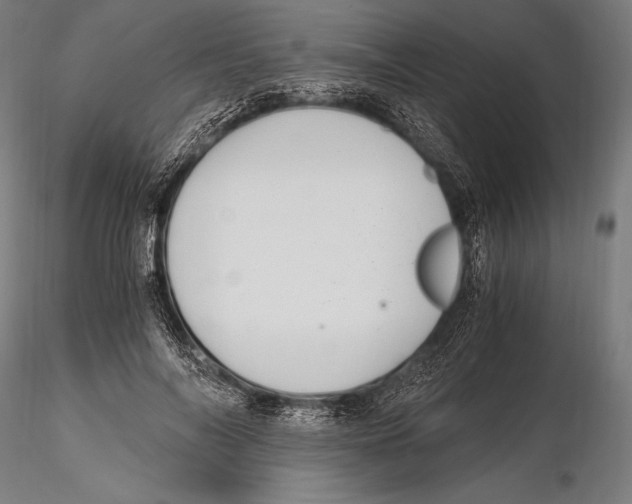 X0000115480694200912040953