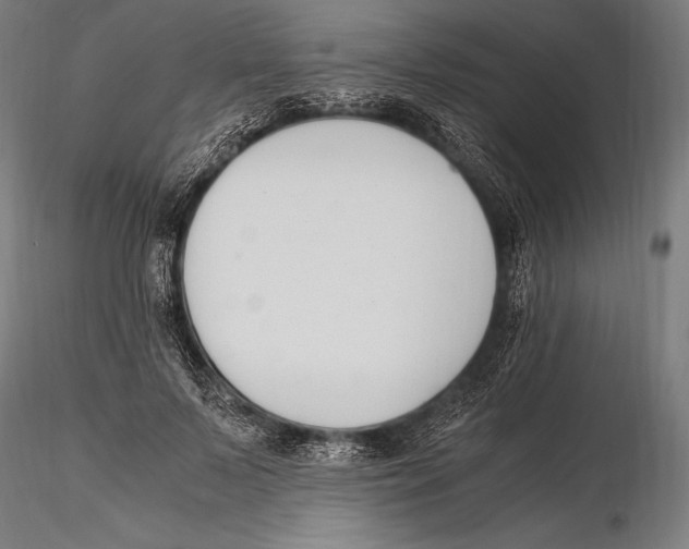 X0000115480695200912040953