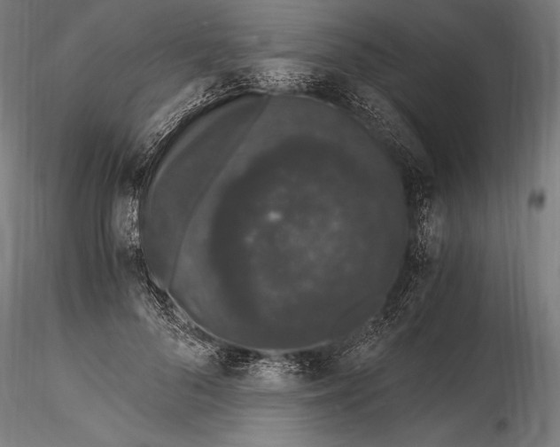 X0000115480696200912040953