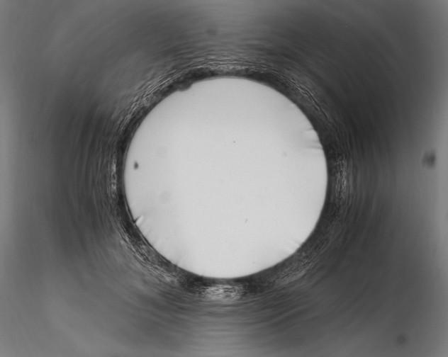 X0000115480700200912040953