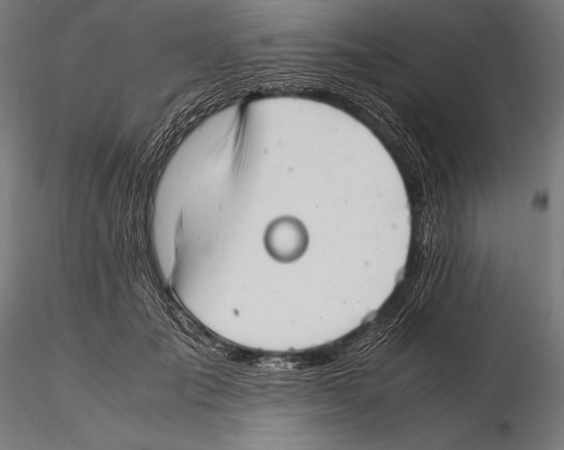 X0000115480701200912040953