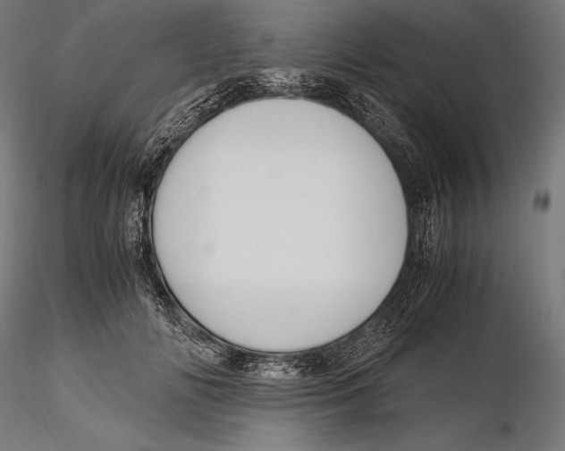 X0000115480702200912040953