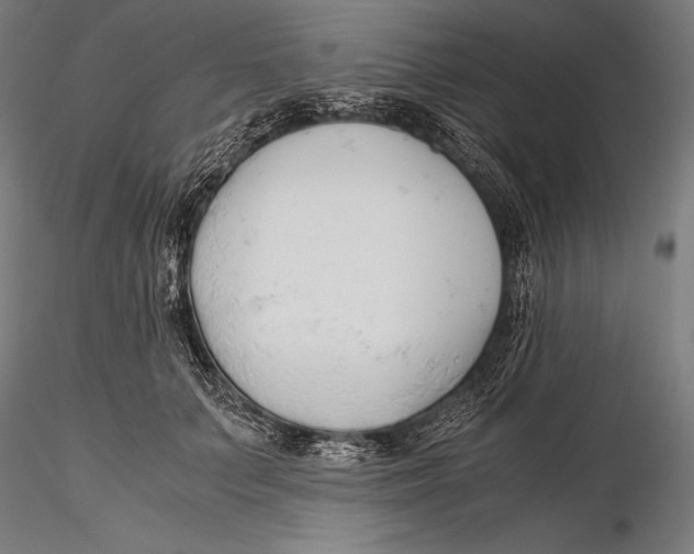 X0000115480703200912040953