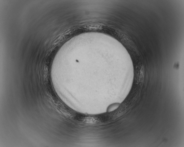 X0000115480704200912040953