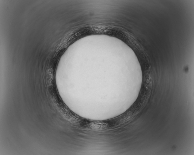 X0000115480707200912040953