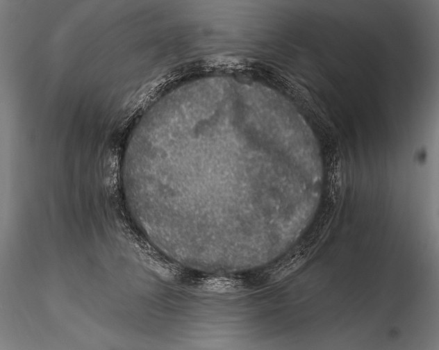 X0000115480708200912040953