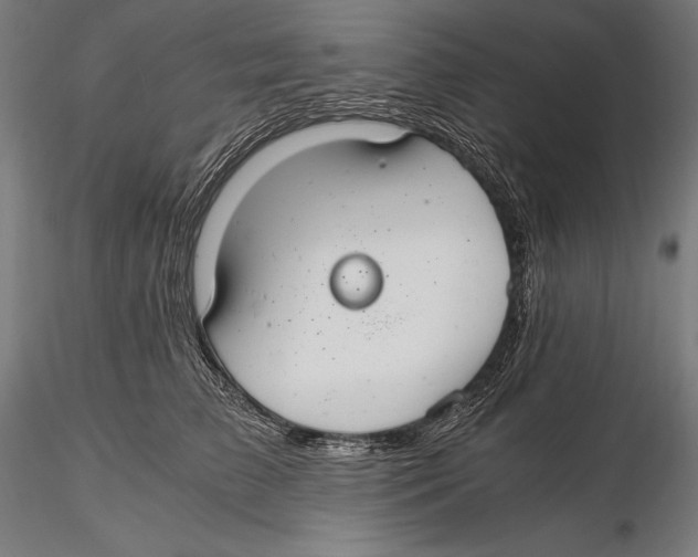 X0000115480709200912040953
