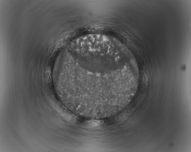 X0000115480711200912040953