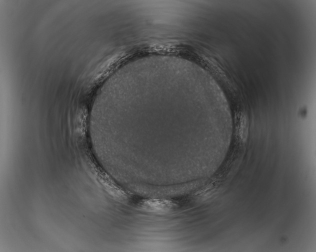 X0000115480712200912040953