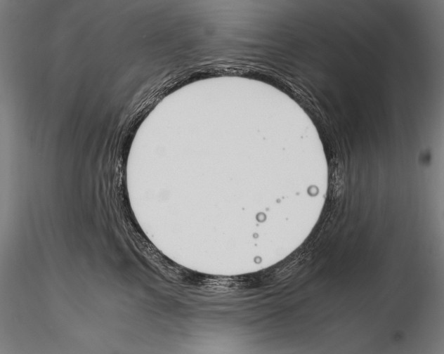 X0000115480713200912040953