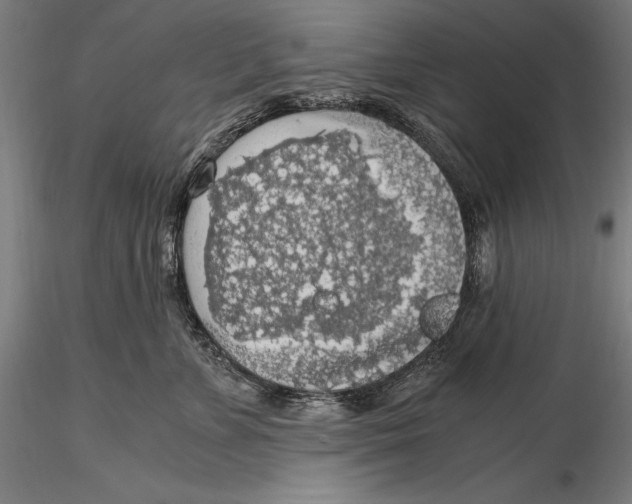 X0000115480715200912040953