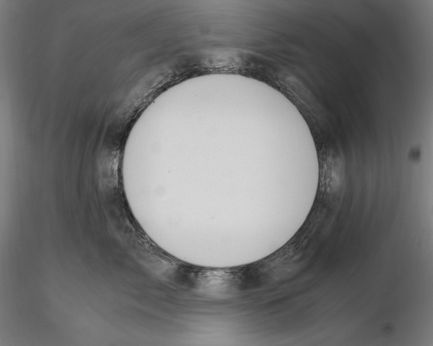 X0000115480717200912040953