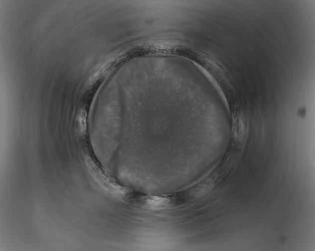 X0000115480718200912040953