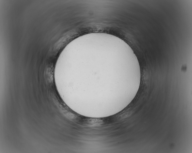 X0000115480719200912040953