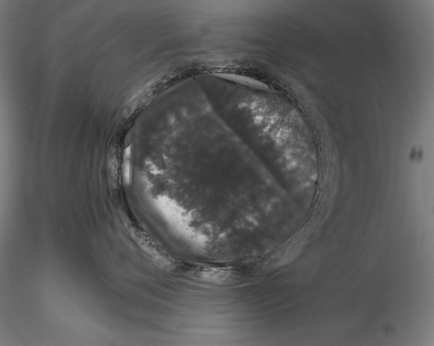 X0000115480720200912040953