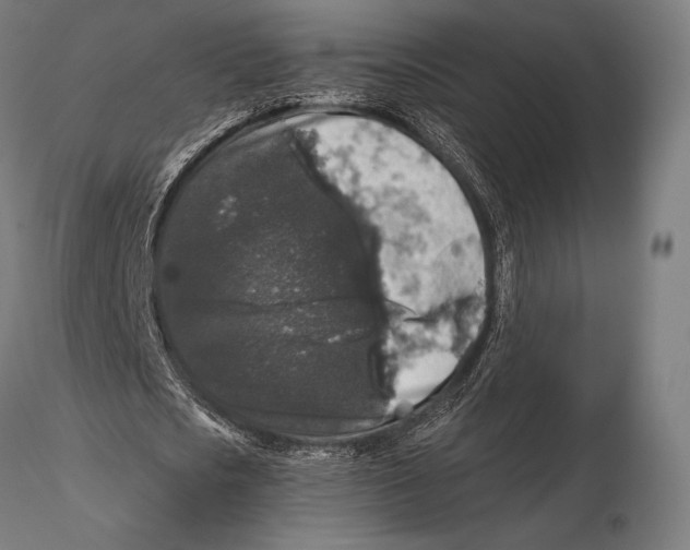 X0000115480721200912040952