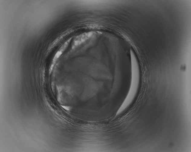 X0000115480722200912040952