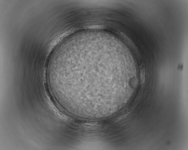 X0000115480725200912040952