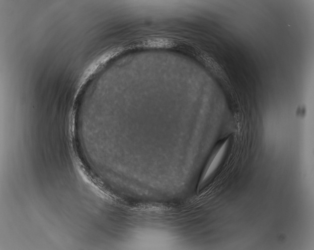 X0000115480726200912040952