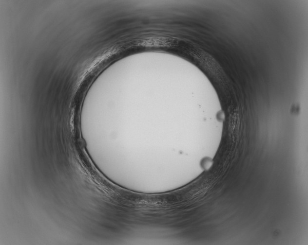 X0000115480727200912040952
