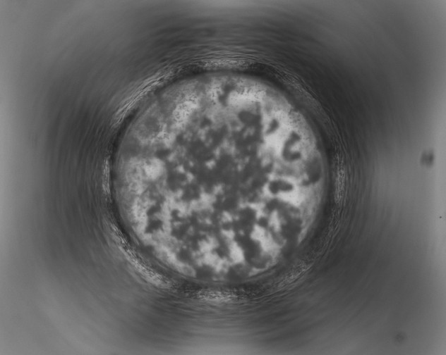 X0000115480729200912040952