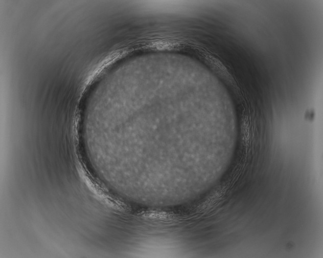 X0000115480730200912040952