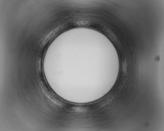 X0000115480733200912040952