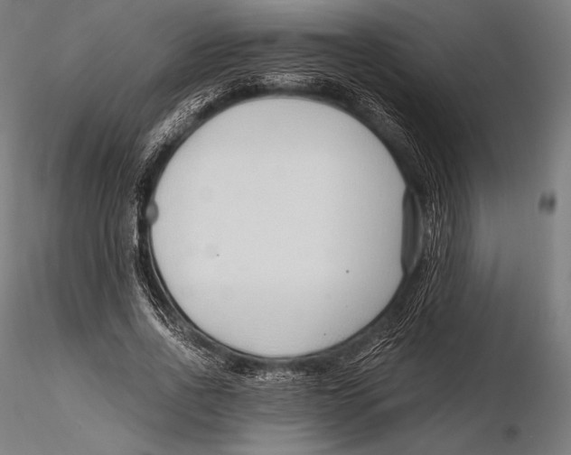 X0000115480734200912040952