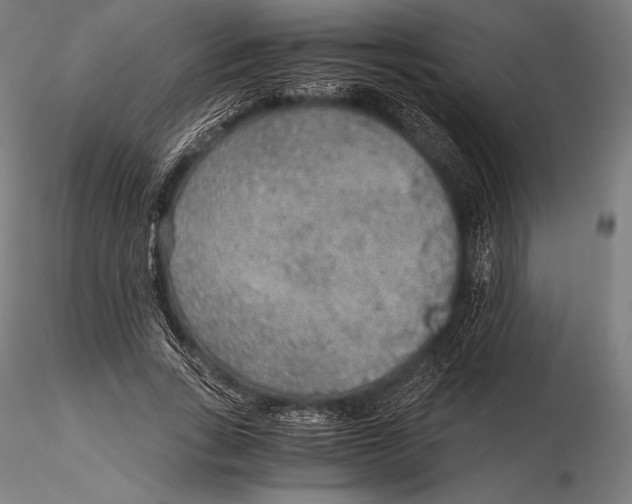 X0000115480735200912040952