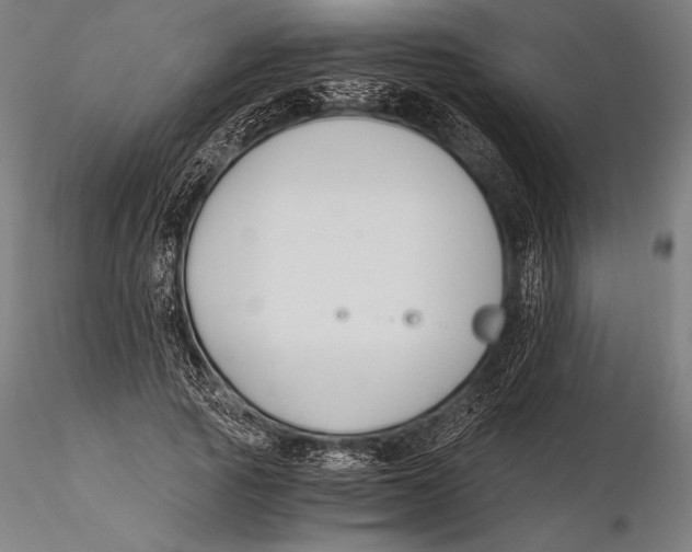 X0000115480737200912040952
