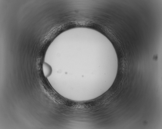 X0000115480738200912040952