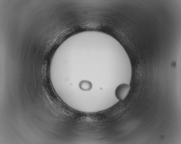 X0000115480739200912040952