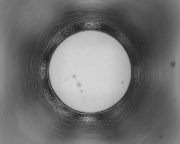 X0000115480741200912040952
