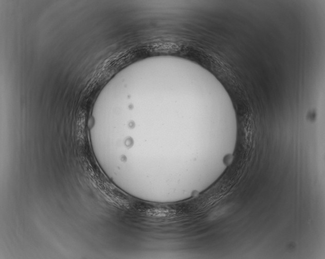 X0000115480745200912040952