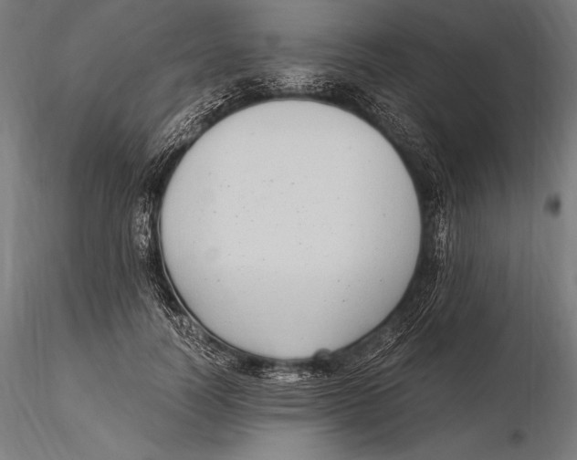 X0000115480746200912040952
