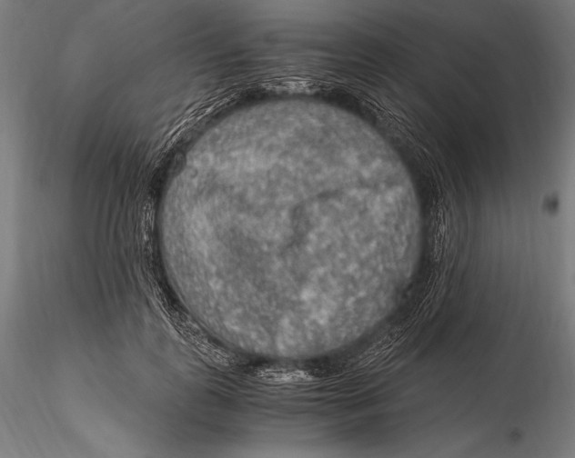 X0000115480747200912040952