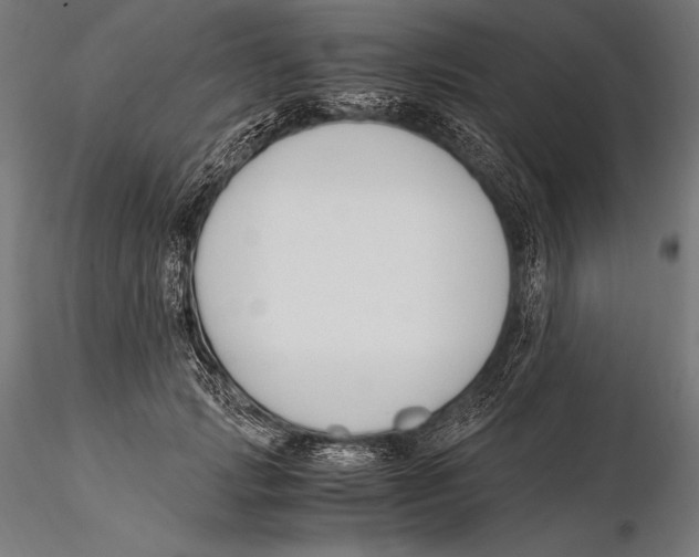 X0000115480749200912040952