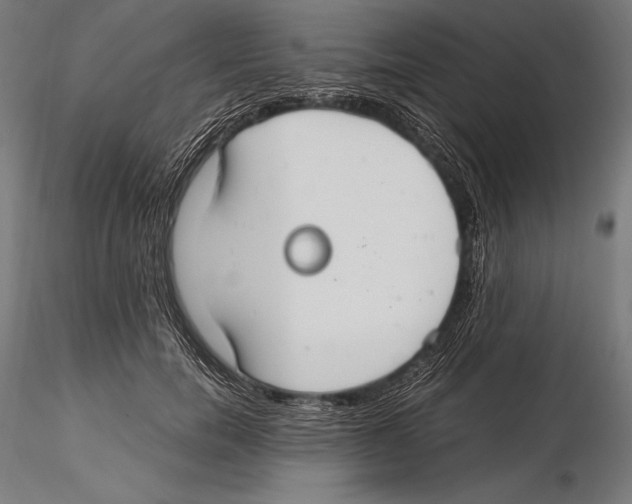X0000115480750200912040952