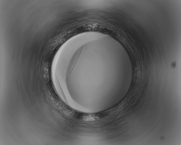 X0000115480754200912040952