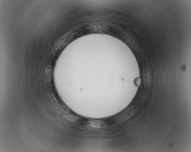 X0000115480757200912040952