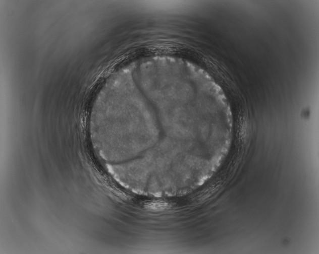 X0000115480759200912040952